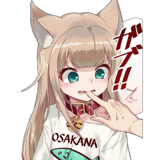 nekan, pas de kus, kinako n'est pas, anime cat chan, chat kinako anime