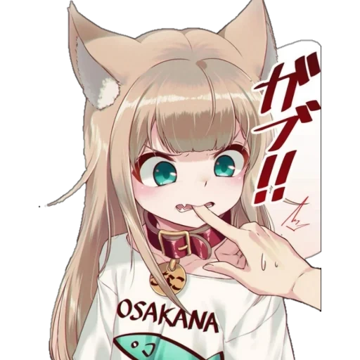 dia médico, medicina interna cousy, jinnazi neizi, campo de gato anime, anime kinako cat