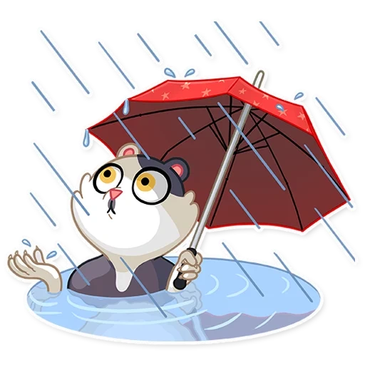 catler, sparrow, under an umbrella, owl under umbrella
