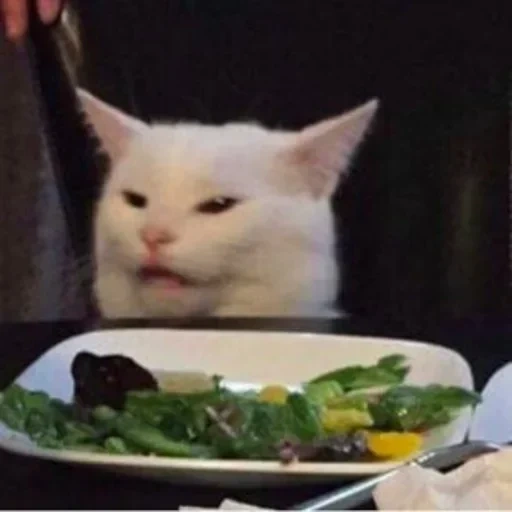 кот, котики смешные, коты мемы овощами, кот мема за столом, милые котики смешные