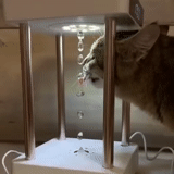 mp4 kucing, anti-gravitasi kucing, kucing anti gravitasi, lampu anti-gravitasi air, lampu air mancur anti-gravitasi