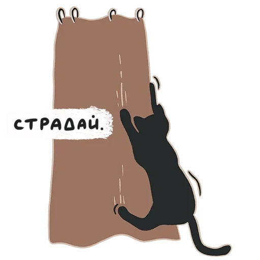 chat, chat noir, la silhouette d'un chat suspendu