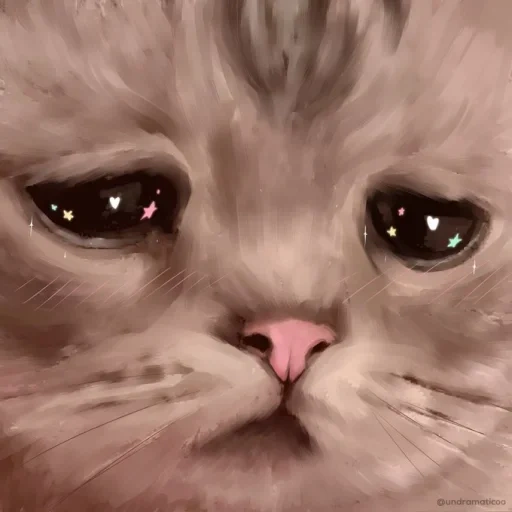 chat qui pleure, chat triste, chat triste, chat de mème triste, chat qui pleure