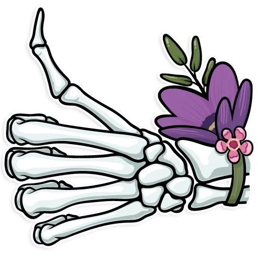 scheletro della mano, scheletro della mano, skeleton hand, vettore scheletro braccio, spazzola rosa rosa
