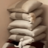 human, bromberg, woolen, a bag of flour, left
