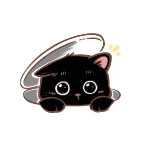 gatto, gatto, bello, caro gatto nero, kawaii museruola di gatti