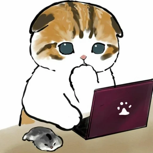 phoques, les animaux sont mignons, chat de mofsha, patterns mignons pour chats, mignon chatte derrière l'ordinateur