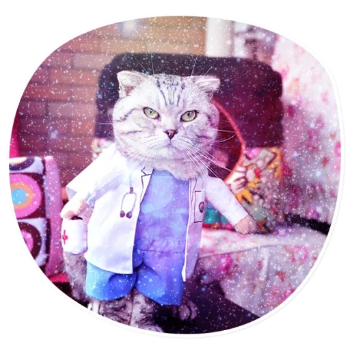 cat, cat cat, cat cat, cat suit, catcals costumes