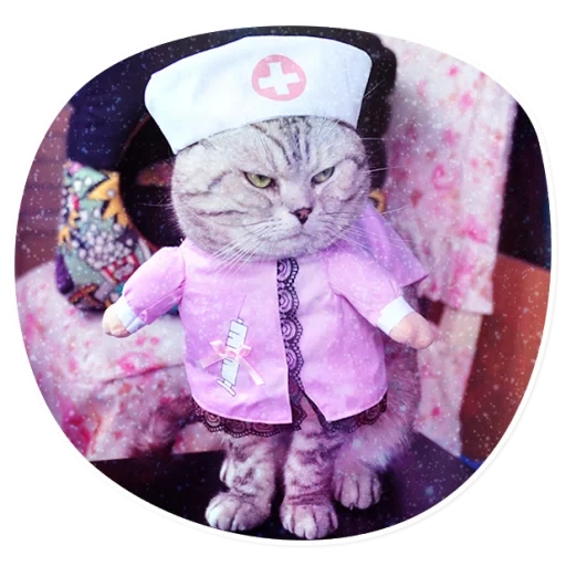 traje de gato, angelbengal, fantasia de gato, trajes de gatos, enfermeira de gato