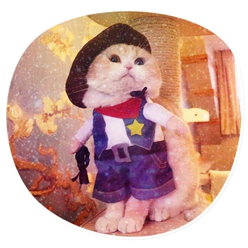 gato gato, traje de gato, fantasia de gato, trajes de gatos, gato de brinquedo macio