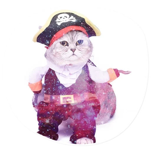 gato, gato gato, pirata de gato, traje de gato, trajes de gatos