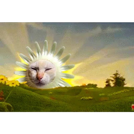 gatto, il sole è telepusico, il sole del telepusico, telepusics sun, sunny telepuzikov