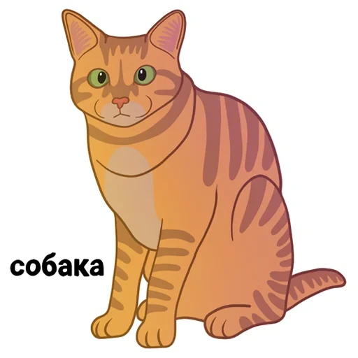 chat clipat, animal préféré, chat sur fond blanc, illustration de chat, cat tabi cartoon