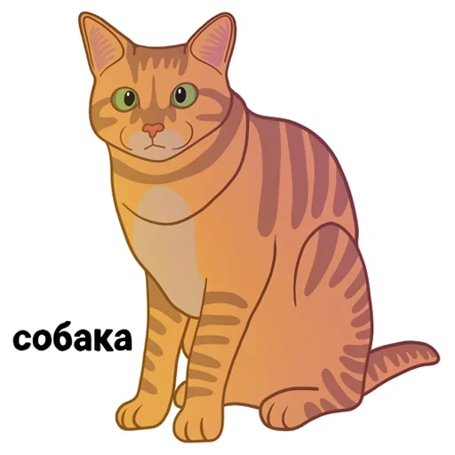 gato clipart, animales favoritos, un gato con fondo blanco, ilustración de gato, dibujos animados de gato