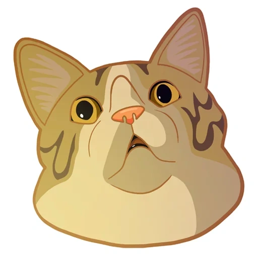 choque, gato, gatos, gatos memic, gatos de discord de emoji