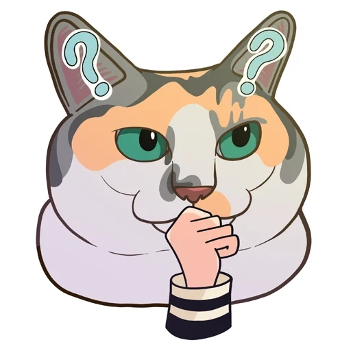 cat, spring cat, meme cat, calico cat, watsap cat