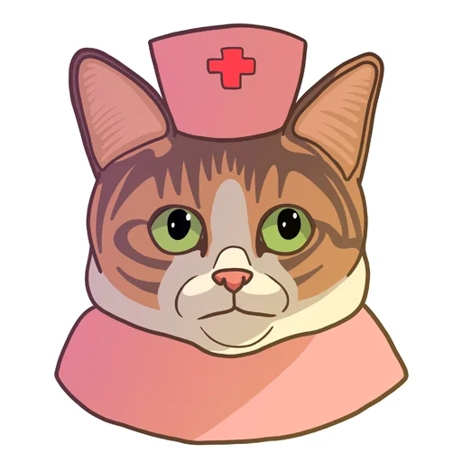 dr cat, médico de gato, el gato es una enfermera, dr cat mem, enfermera de gatito