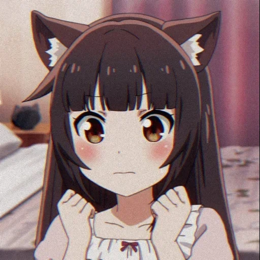 nekopara, anime einige, chokola anime, aimal anime, anime charaktere