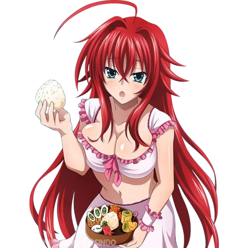 dxd rias, rias gremory, gremory rias, rias gremori ist etwas, rias gremori anime