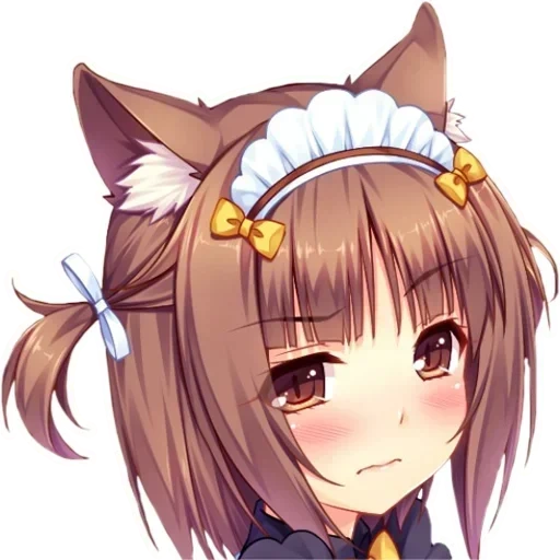 некопара, азуки некопара, nekopara azuki, адзуки некопара, некопара чокола