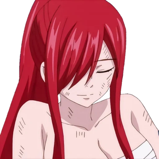 erza is scarlet, fairy tail, fairy tail erza, elsa tail fei, elsa fairy tale