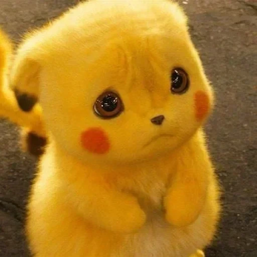 pikachu, pikachu fluffy, pikachu tenderness, offended by pikachu, talking cat picachu