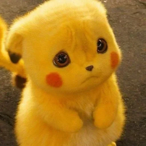 pikachu, pikachu fofo, ternura de pikachu, o ofendido por pikachu, falando cat picachu