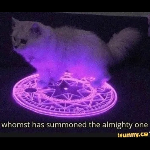 cat, scp-087, pentagram cat, magic the gathering, whomst has summone the almighty one