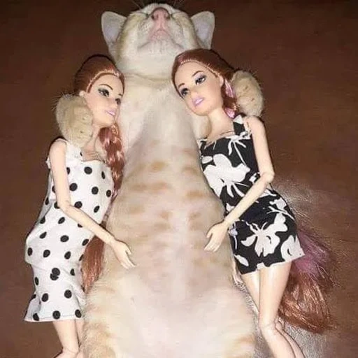 poupée, poupée à la mode, poupées animales, animaux burlesques, poupée barbie à la mode