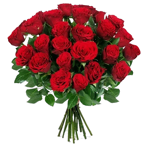 21 роза букет, 25 красных роз, букет красных роз, роза фридом 40 см