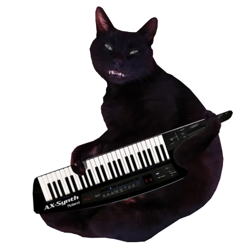 die katze die katze die katze, the cat piano, die synthesizer-katze, kätzchen schlüssel, bongo cat piano