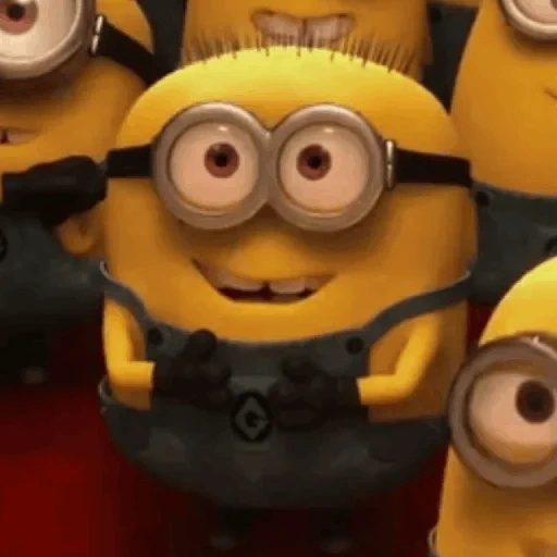 schools 7, boys, pawn, minions prank, ridiculous minions