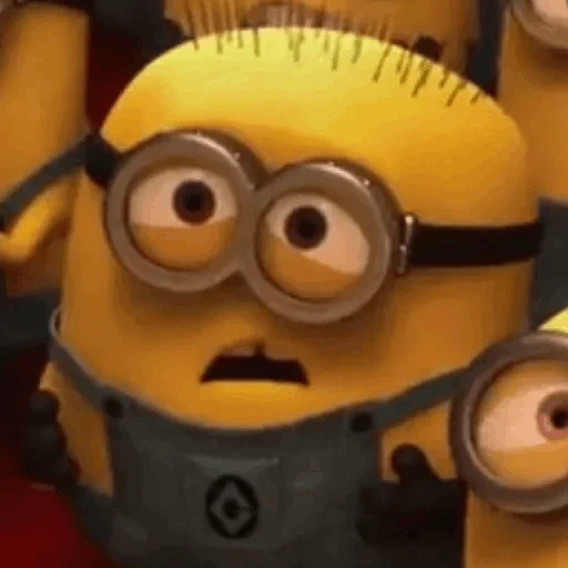 boys, pawn, 3 minions, minions is laughing, minions is ridiculous