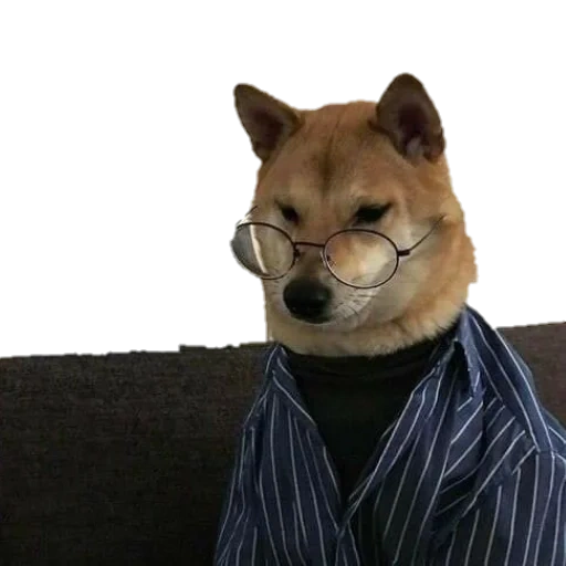 siba inu, shiba inu, shiba inu, akita inu, akita iu meme