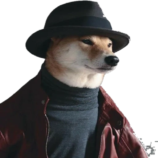 anjing, siba inu, lavr arkhipov, leonardo da vinci, fashionable dogs 2021