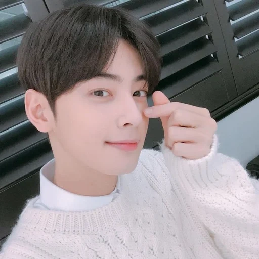 getrockneter astragalus, jaehyun nct, cha eun woo, selfie mit chaeunwoo, koreanische schauspieler