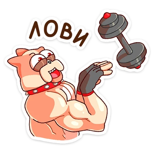 telegram stickers, stickers stickers, stickers, big stickers, stickerpack