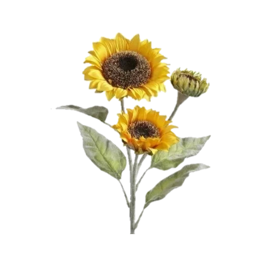 decorative sunflower, sunflower, sunflower branch, sunflower flower, sunflowers from 70cm