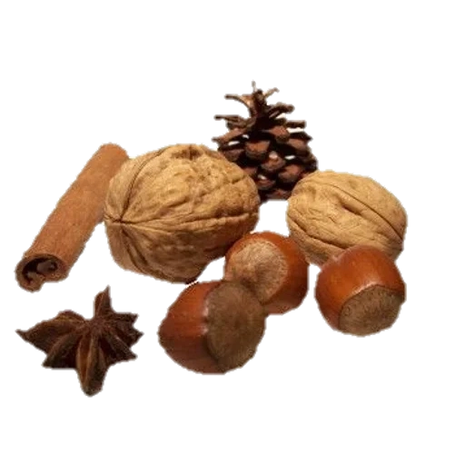 корица кардамон гвоздика мускатный орех кориандр, орехи грецкий орех, liveinternet, cinnamon, грецкий орех