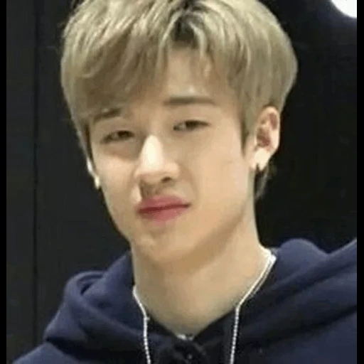 gli asiatici, panchen lama, kim tae hyung, stray kids, stray kids meme svnmin