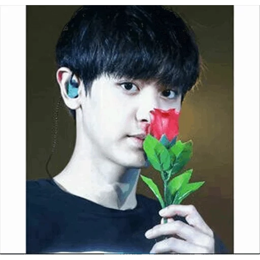 asian, pak chanyeol, exo chanyeol, baekhyun exo, chanyeol with flowers