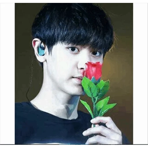 asiático, pak chanyeol, exo chanyeol, baekhyun exo, chanyeol con flores