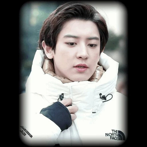 park cheung-lee, exo chanyeol, park chanyeol, cristal duplo carnell, dinheiro pequeno