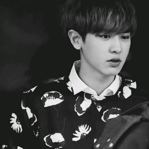 cuestionario, pak chanyeol, cantante de actor, ésta persona, pak chanel 61