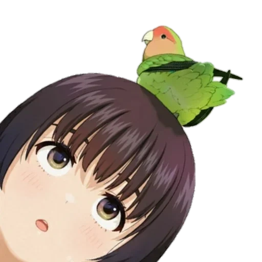 animación, anime, figura, arte de animación, parrot de animación