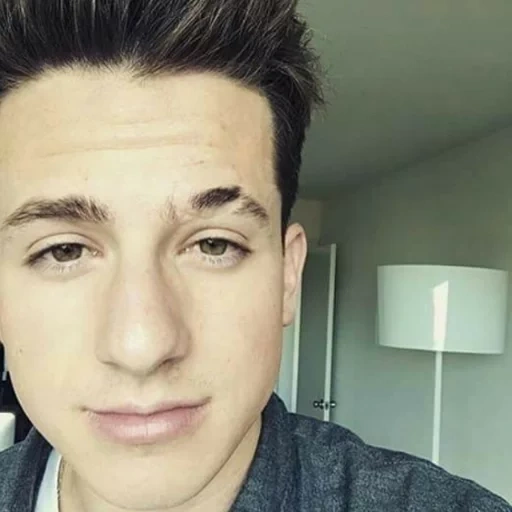 charlie, charlie put, sean mendes, charlie puth, charlie pitt profil