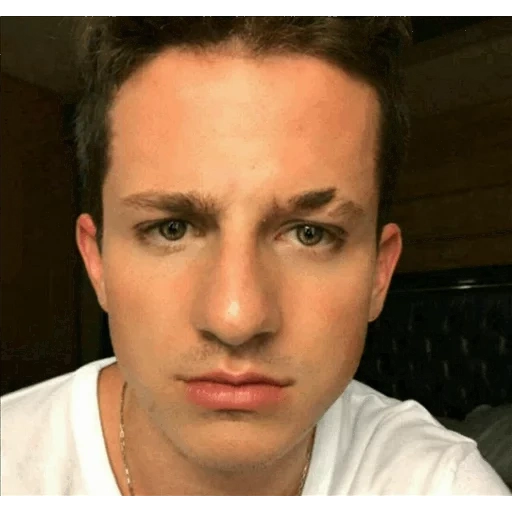 cantante, joven, charlie putt, sean mendes, charlie puth snapchat