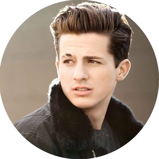 charlie, charlie put, sean mendes, one call away, charlie puth feat meghan trainer marvin gaye