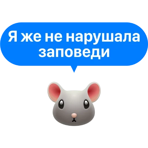 cara de ratón, cabeza de ratón, sabia cita, animales ridículos, mascota animal divertida