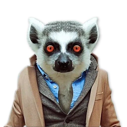 uzbagoin, uzbaga, lemur uzbaga, i am zbagoen lemur, lemur is the original in the uzbaga
